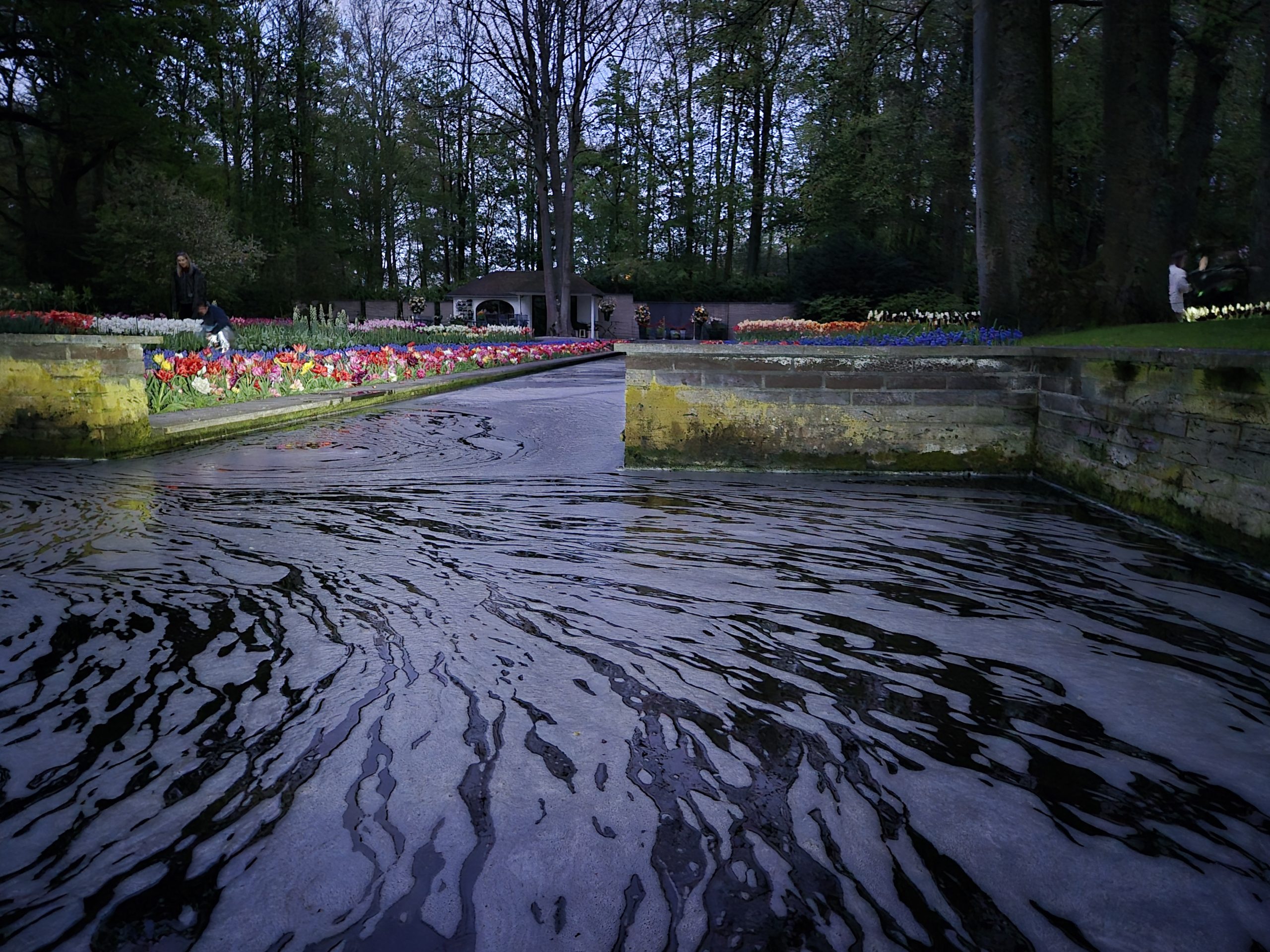 Kijk hoe gedetailleerd