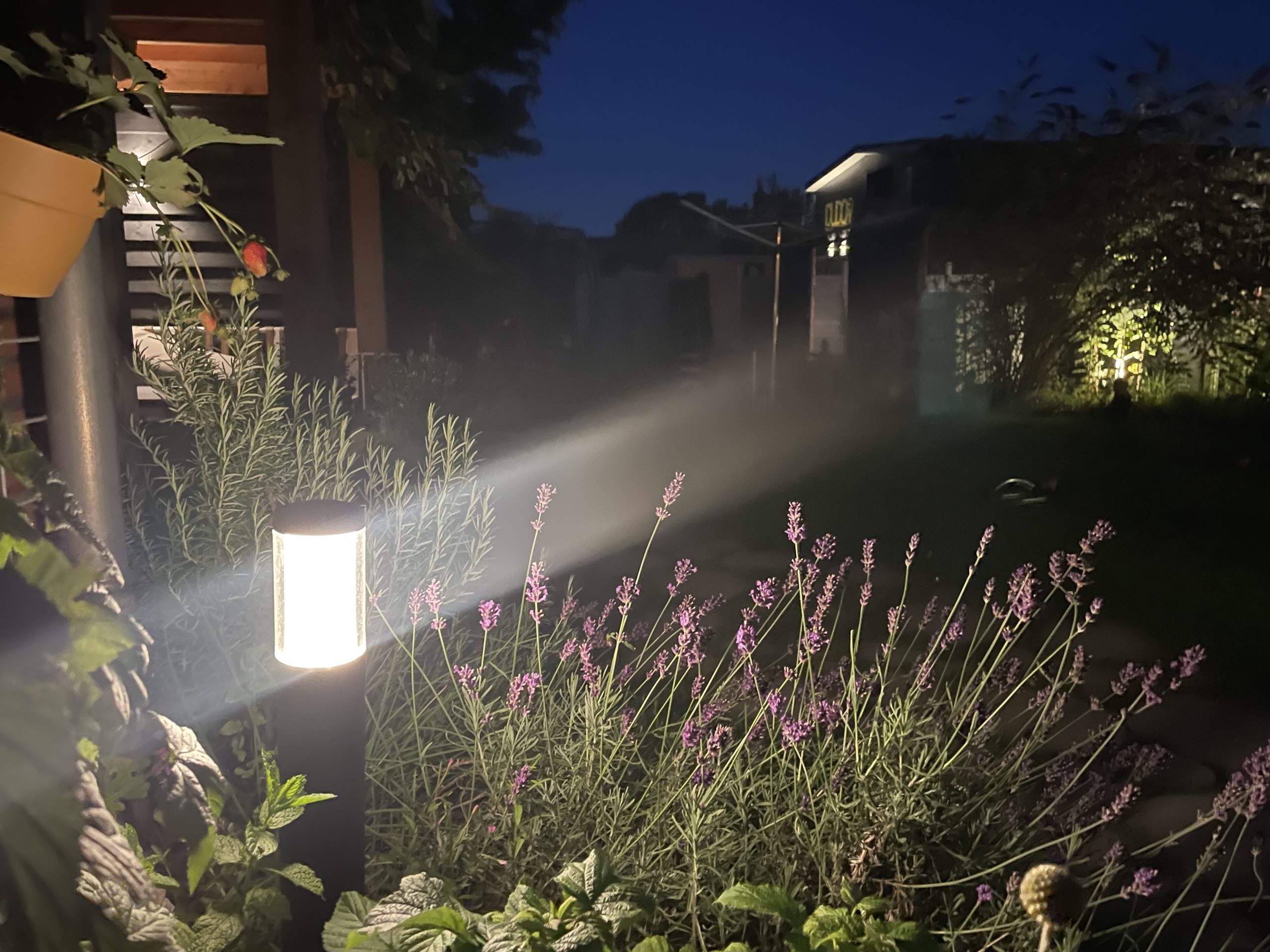 lampen-tuin