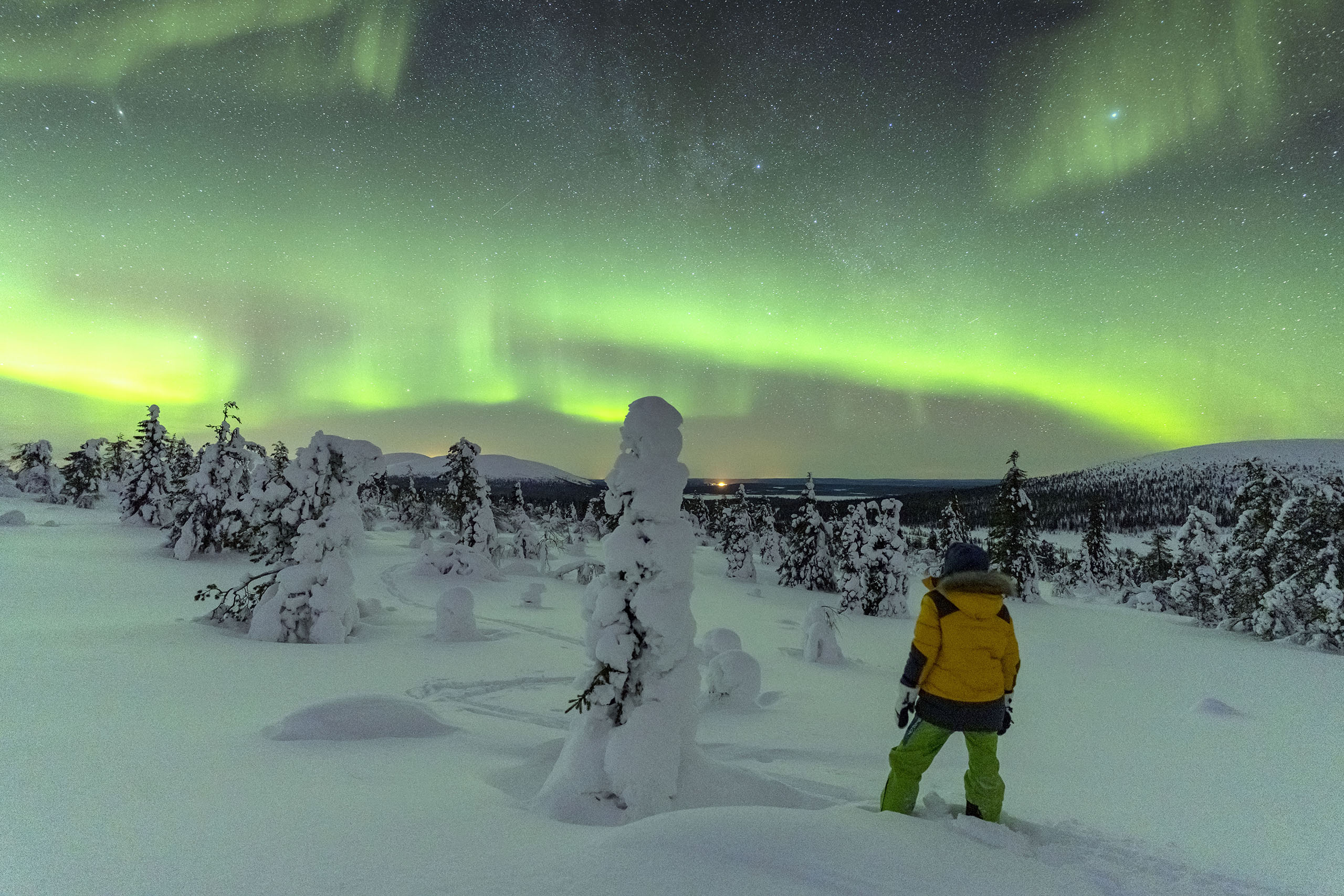 Man in the snowy forest looking at Northern Lights, Lapland, Finland