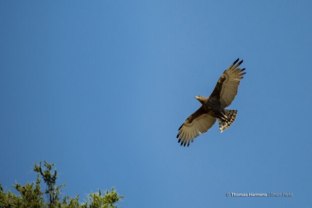 <i>Ook in de lucht.</i>