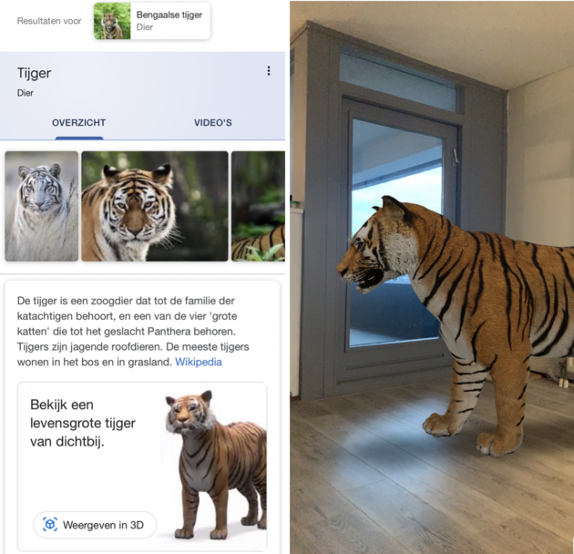 google-3d-dieren-tijger.png