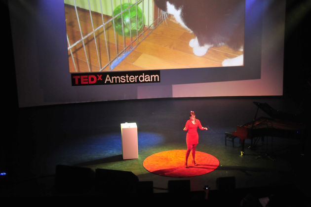 tinkebell-op-tedx-niets-is-wat-het-lijkt.jpg