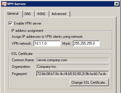 vpn-s-zijn-in-opkomst-infographic.jpg